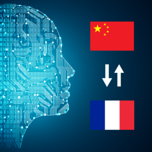 Chinese - French (France) AI Interpretation
