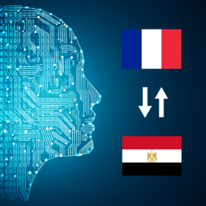 French - Arabic (Egypt) AI Interpretation