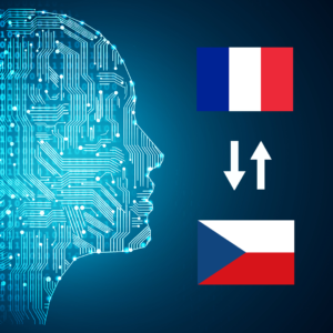 French - Czech AI Interpretation