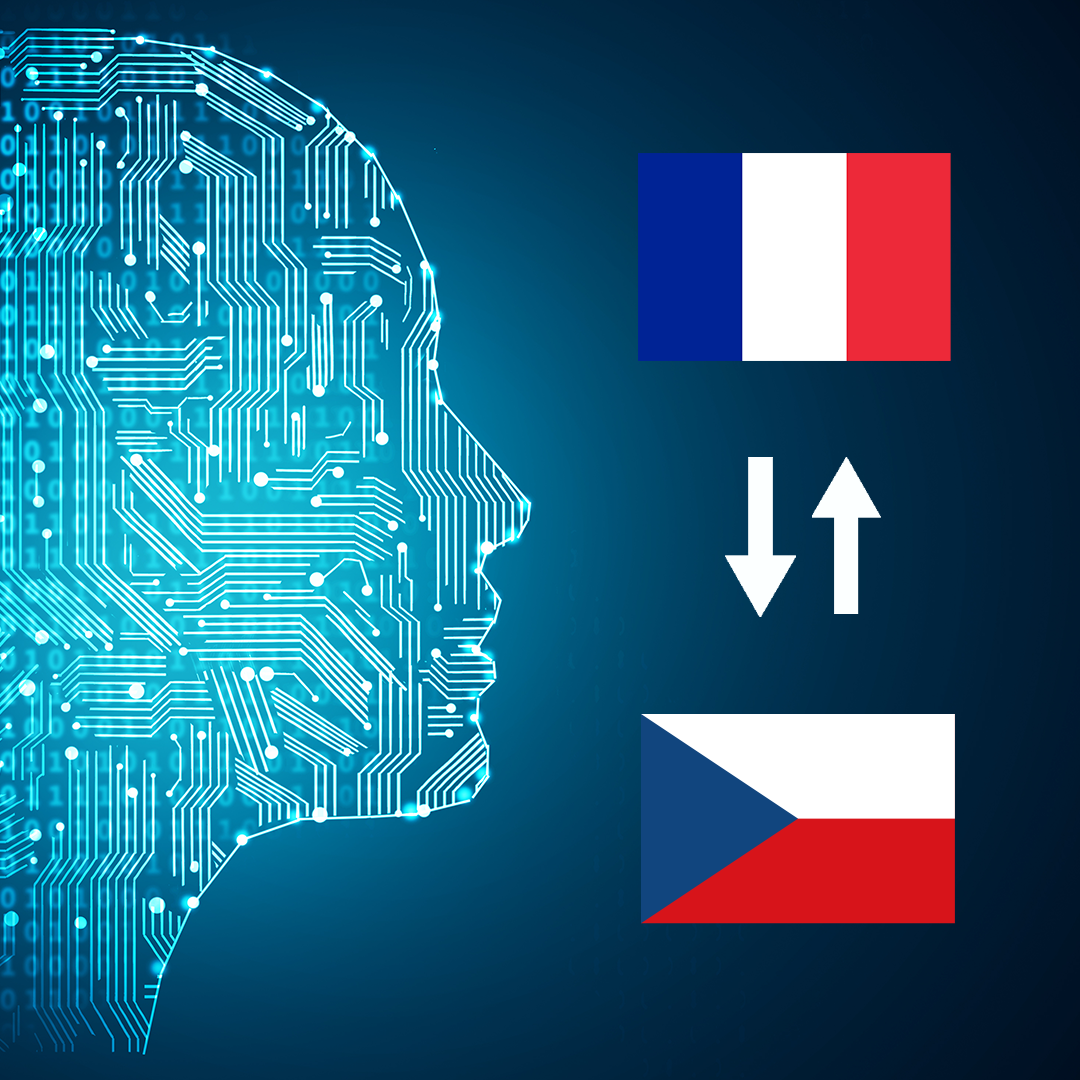 French - Czech AI Interpretation