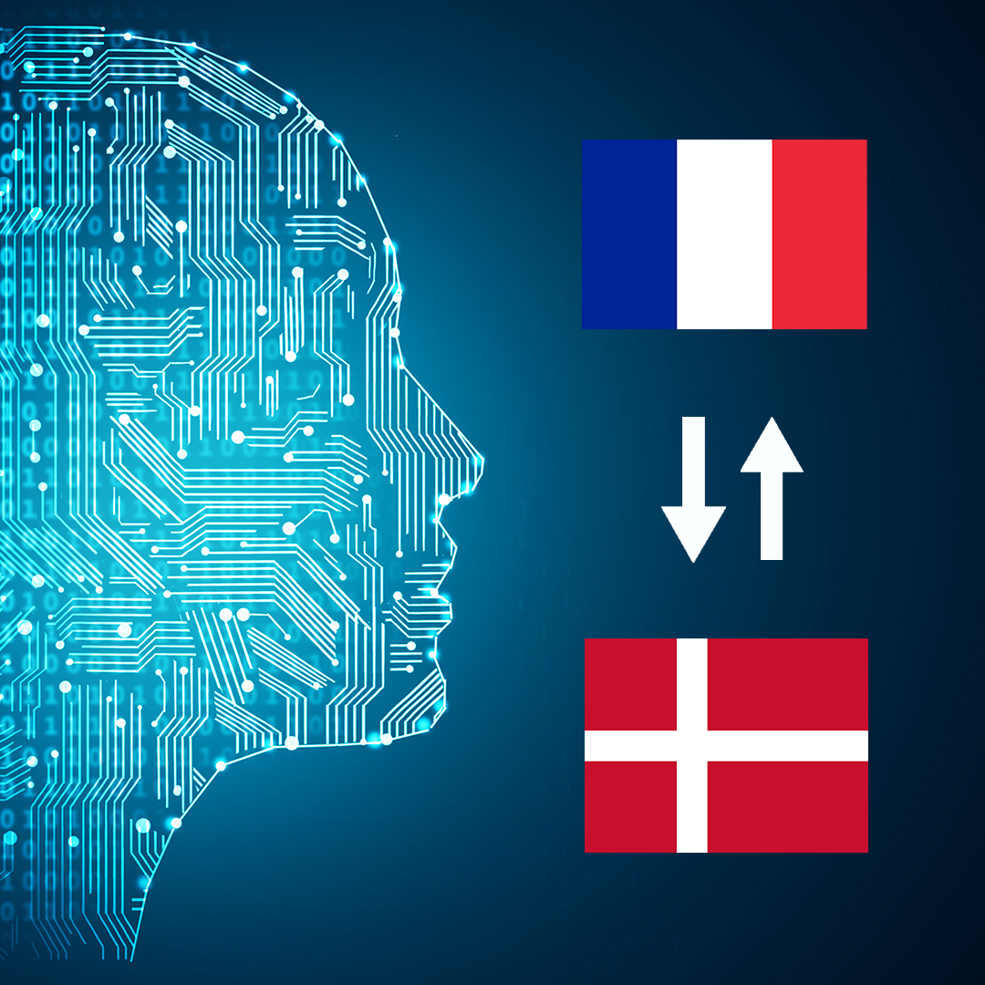 French - Danish AI Interpretation
