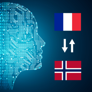 French - Norwegian AI Interpretation