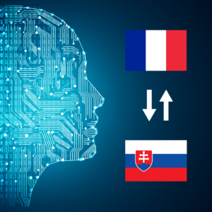French - Slovak AI Interpretation