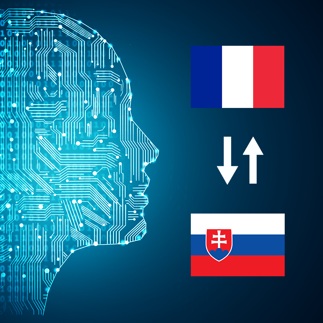 French - Slovak AI Interpretation