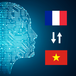 French - Vietnamese AI Interpretation