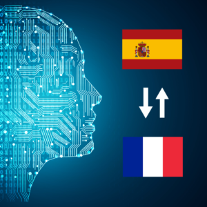 Spanish - French (France) AI Interpretation