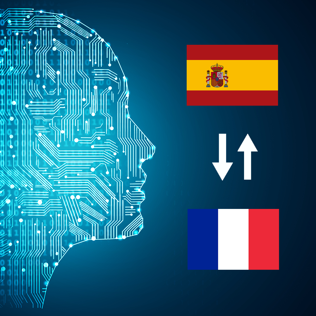 Spanish - French (France) AI Interpretation