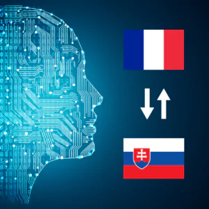 French - Slovak AI Interpretation