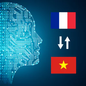 French - Vietnamese AI Interpretation