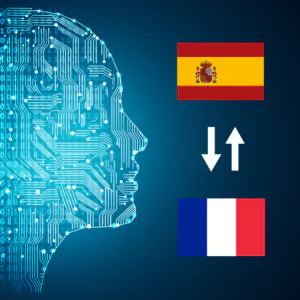 Spanish - French (France) AI Interpretation